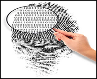 Private Detective Services Private Detectives UK